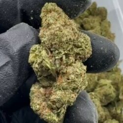 Apple Tartz THCA Flower A Buds by 1lb