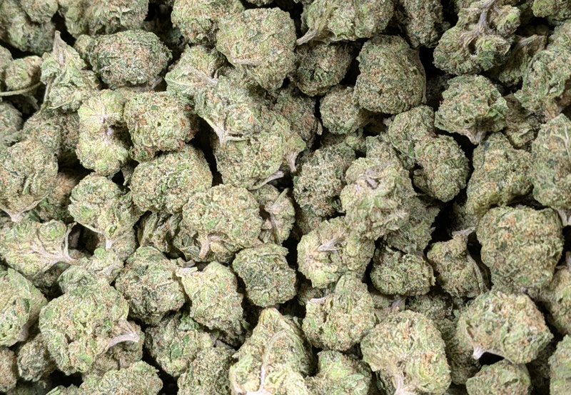 OG KUsh THCA Flower by the 1lb