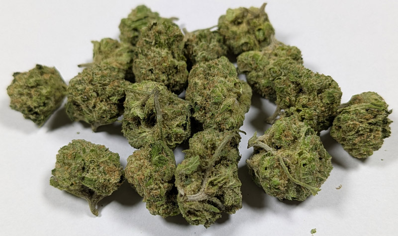 OG Kush THCA Flower B Buds by 1/4lb or 1/2lb - Image 2