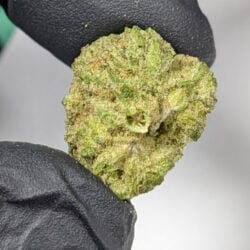 OG Kush THCA Flower B Buds by 1lb