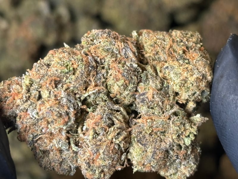 Buy Cali Burger now by the 1/2, 1/4 lb