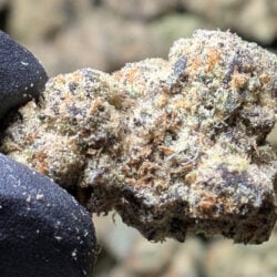 Pink Certz THCA Flower 1lb