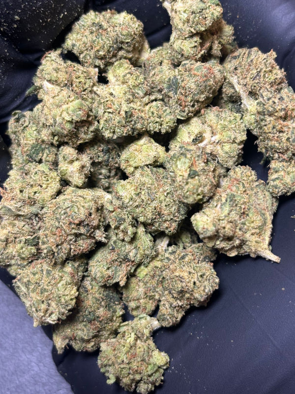 Tangerine dream thca flower sativa dominant strain