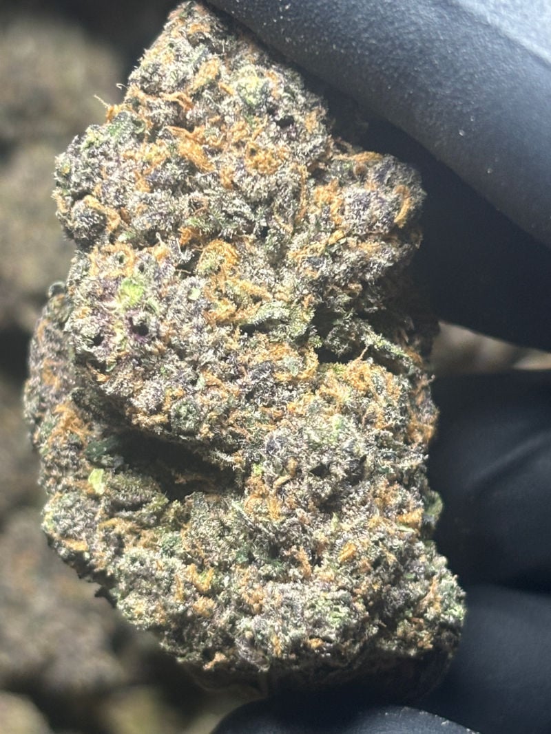 Buy venom og by the 1lb