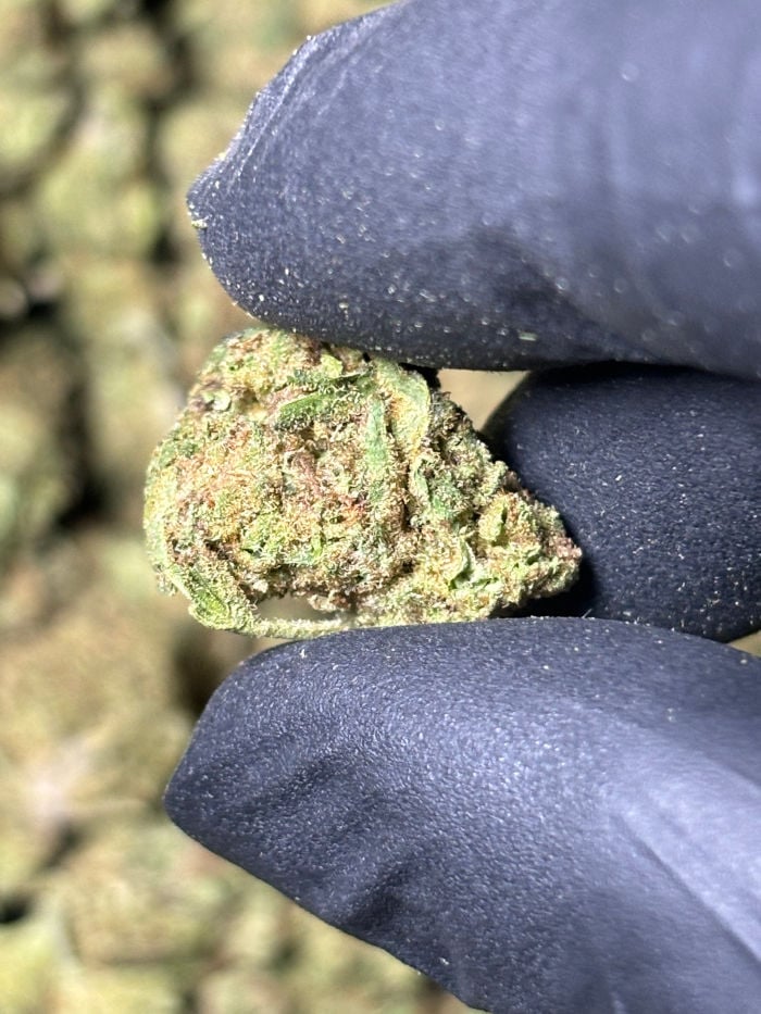 blueberry punch 1g
