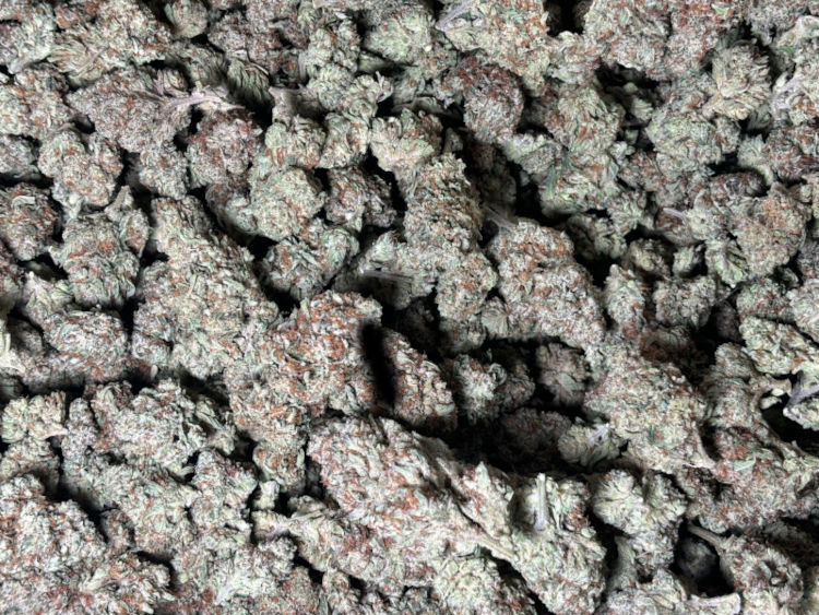 Cereal Milk 1lb available now
